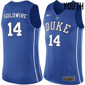 Youth Duke #14 Jordan Goldwire Blue Embroidery Jersey 384644-382